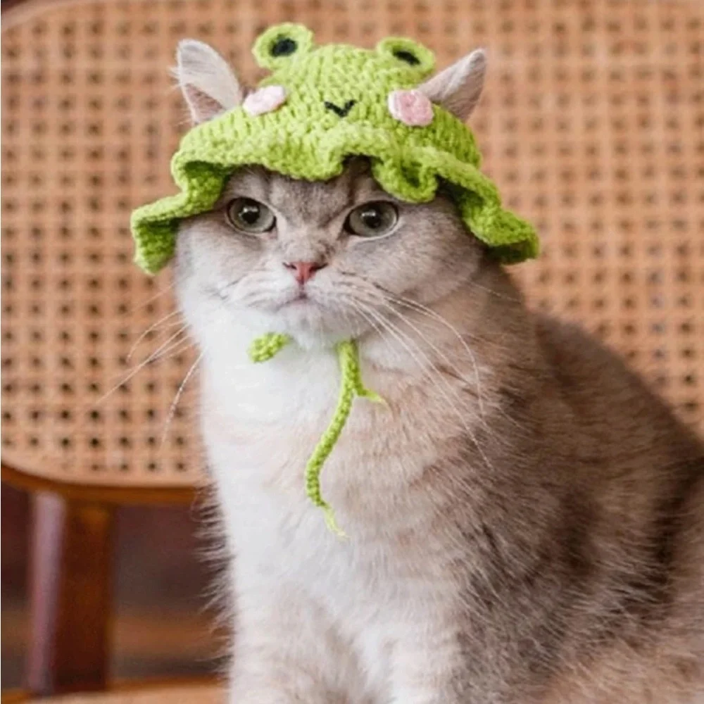 1pc Frog Design Knitted Pet Hat